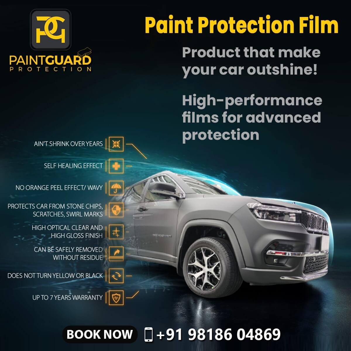 Our Product - PaintGuard